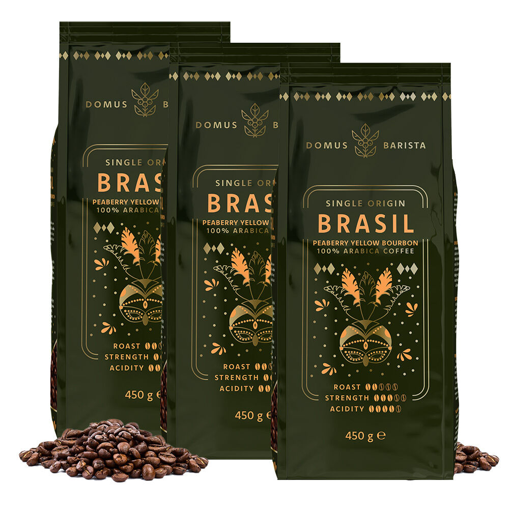Single\u0020Origin\u0020Brasil\u0020\u002D\u0020Domus\u0020Barista